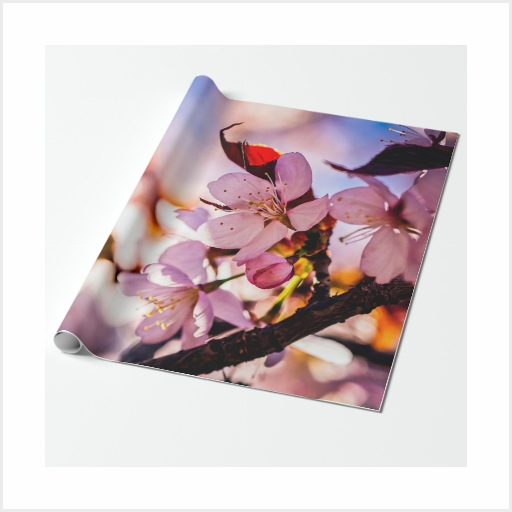 Sakura Cherry Flowers Wrapping Paper