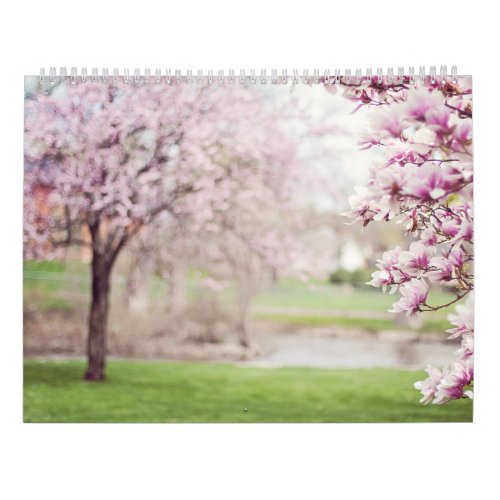 Sakura Cherry Pink Roses Tree photography Calendar