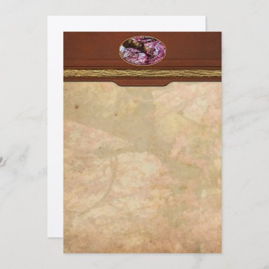 Sakura - Finally it's Spring (Front/Back)