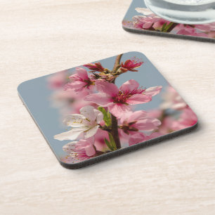 Sakura Flower, Pink Japanese Flower Beverage Coaster