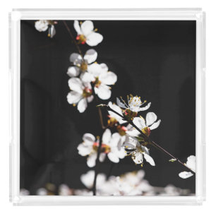 Sakura flowers acrylic tray