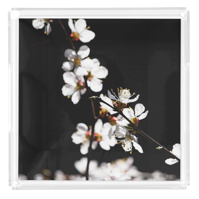 Sakura flowers acrylic tray (Front)