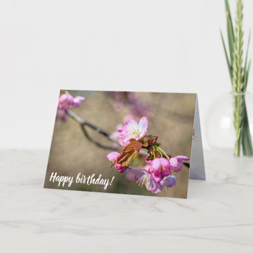 Sakura Flowers Against The Greenish Background Card