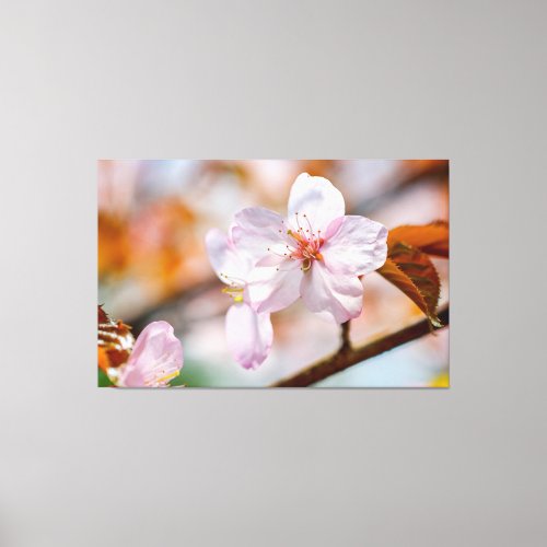 Sakura Flowers And Orange Leaves In Springtime Canvas Print