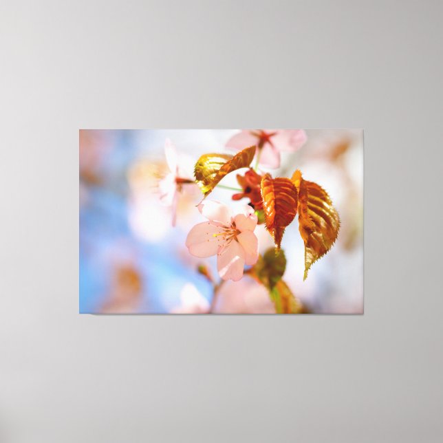 Sakura Flowers And Orange Leaves In Springtime Canvas Print (Front)
