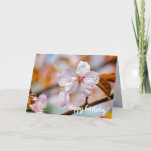Sakura Flowers And Orange Leaves In Springtime Card