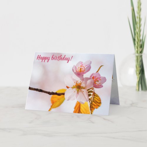 Sakura Flowers And Soft Pink Background Of Spring Card