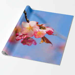 Sakura Flowers, Buds And Blue Sky Wrapping Paper