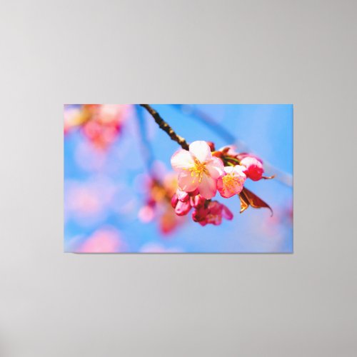Sakura Flowers Buds And The Blue Sky Of Spring Canvas Print