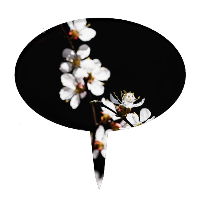 Sakura flowers cake topper (Front)