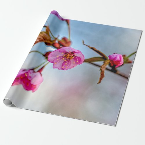 Sakura Flowers In Soft Pink Colors Wrapping Paper