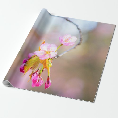 Sakura Flowers On A Tip Of The Time Helix Wrapping Paper