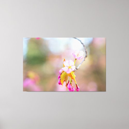 Sakura Flowers On A Tip Of The Twig Time Helix Canvas Print