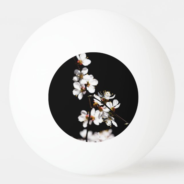 Sakura flowers Ping-Pong ball (Front)