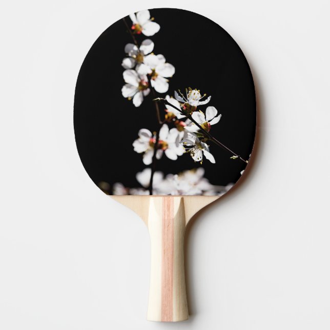 Sakura flowers Ping-Pong paddle (Back)