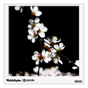 Sakura flowers wall sticker
