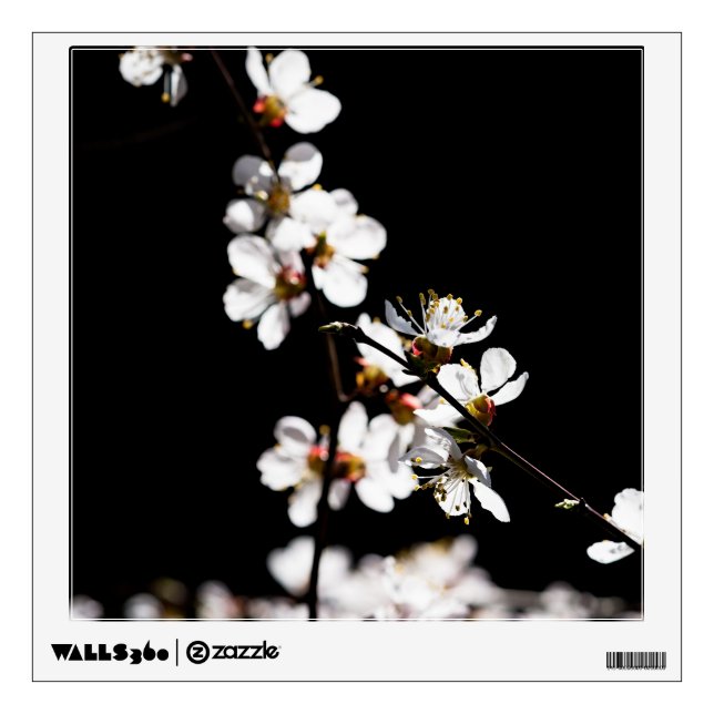 Sakura flowers wall sticker (Front)