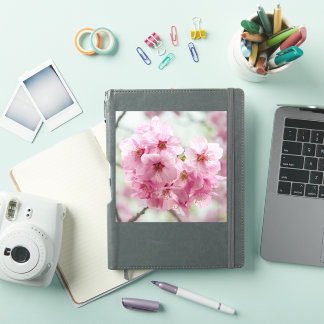 Sakura in Spring – Tokyo Flower Sticker