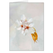 Sakura - Japanese cherry blossom (Front)