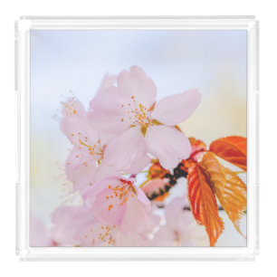 Sakura - Japanese cherry blossom Acrylic Tray