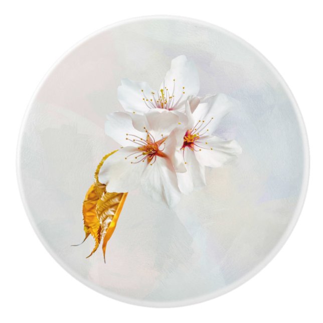 Sakura - Japanese cherry blossom Ceramic Knob (Front)