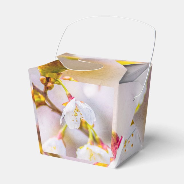 Sakura - Japanese Cherry Blossom Favor Boxes (Front Side)