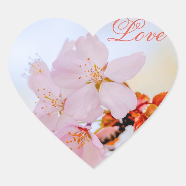 Sakura - Japanese cherry blossom Heart Sticker (Front)
