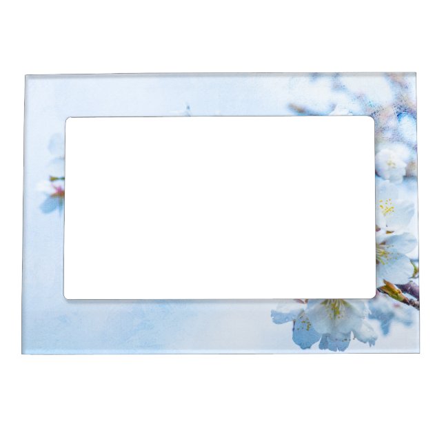 Sakura - Japanese Cherry Blossom Magnetic Photo Frame (Front)