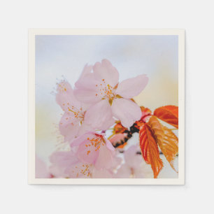 Sakura - Japanese cherry blossom Paper Napkins