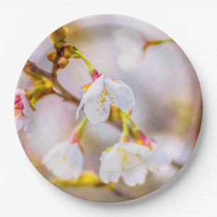 Sakura - Japanese Cherry Blossom Paper Plates