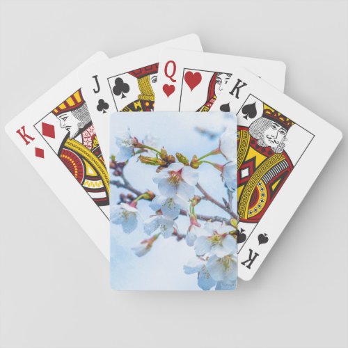 Sakura _ Japanese Cherry Blossom Poker Cards