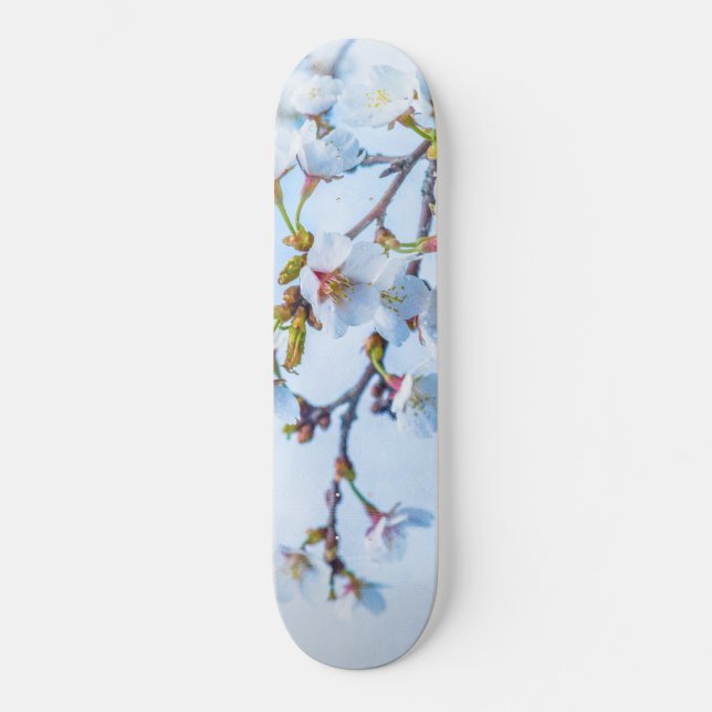 Sakura - Japanese Cherry Blossom Skateboard (Front)