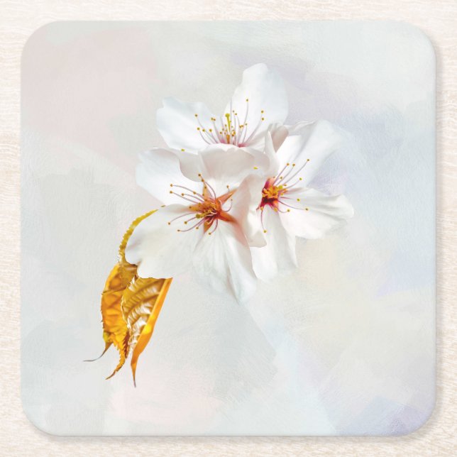 Sakura - Japanese cherry blossom Square Paper Coaster (Front)