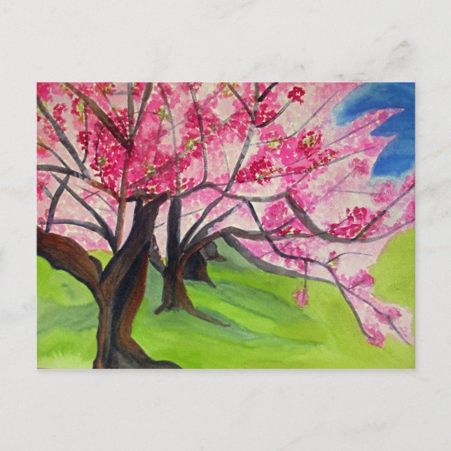 Sakura Japanese Cherry Blossom watercolor art Postcard (Front)