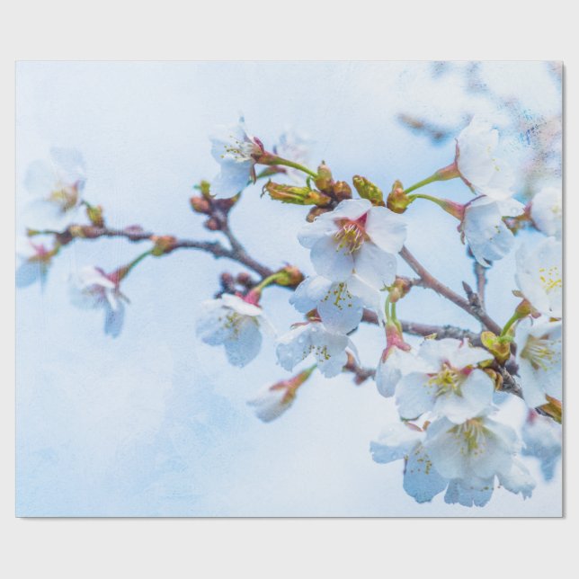 Sakura - Japanese Cherry Blossom Wrapping Paper