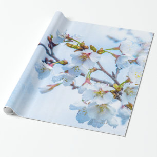 Sakura - Japanese Cherry Blossom Wrapping Paper