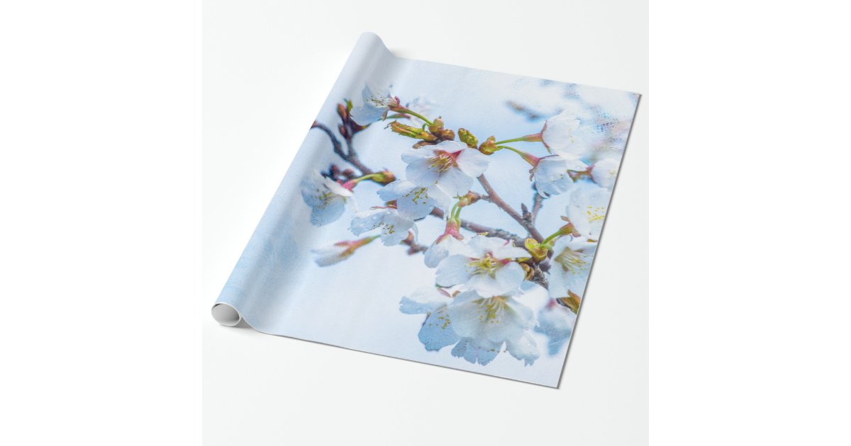 Sakura - Japanese Cherry Blossom Wrapping Paper