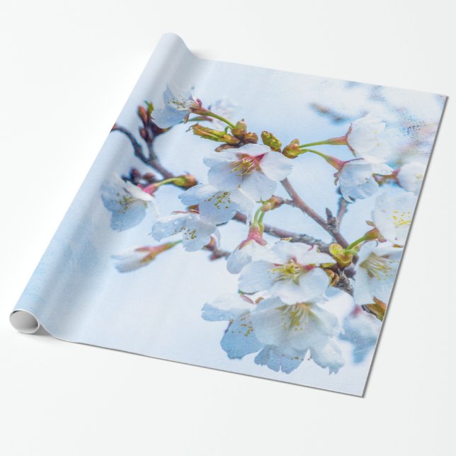 Sakura - Japanese Cherry Blossom Wrapping Paper (Unrolled)