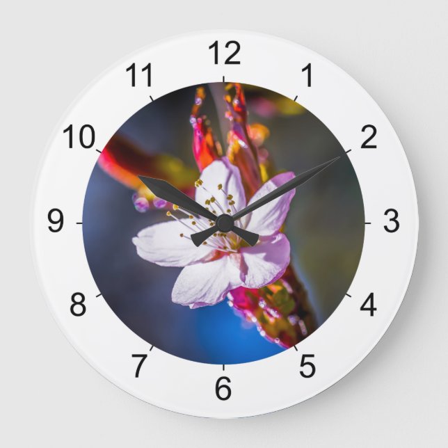 Sakura - Japanese cherry flower Large Clock (Front)
