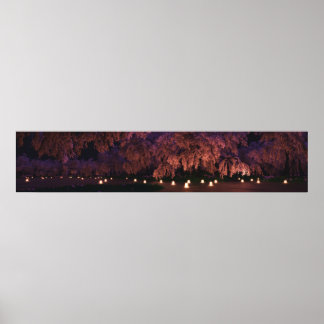 Sakura (Night) Panorama Poster