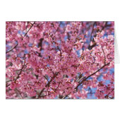 Sakura Pink Cherry Blossom Sky (Front Horizontal)