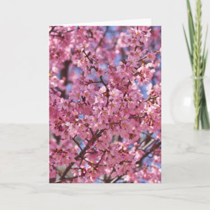 Sakura Pink Cherry Blossom Sky Card