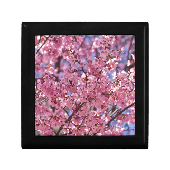 Sakura Pink Cherry Blossom Sky Gift Box (Front)