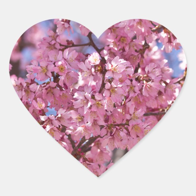 Sakura Pink Cherry Blossom Sky Heart Sticker (Front)