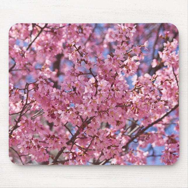 Sakura Pink Cherry Blossom Sky Mouse Pad (Front)