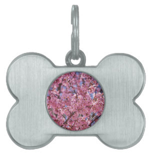 Sakura Pink Cherry Blossom Sky Pet Tag