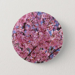 Sakura Pink Cherry Blossom Sky Pinback Button
