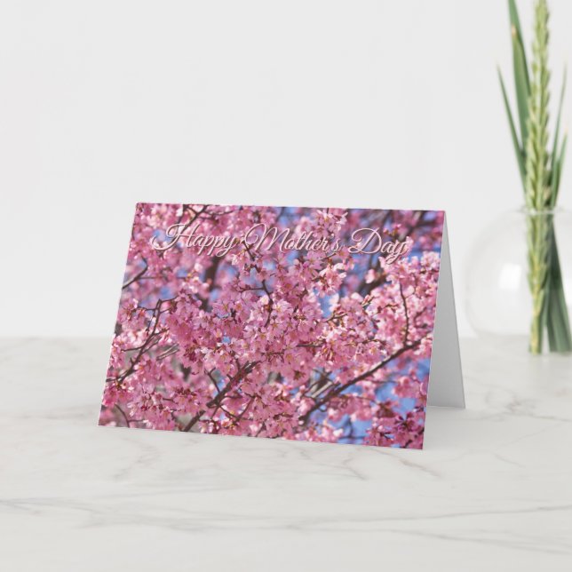Sakura Pink Cherry Blossom Sky Poster Card (Front)