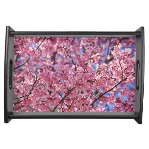 Sakura Pink Cherry Blossom Sky Serving Tray