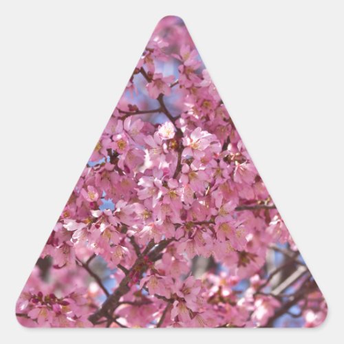 Sakura Pink Cherry Blossom Sky Triangle Sticker